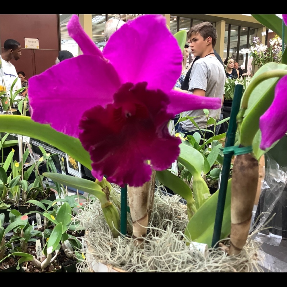 Meet your Posher, Tes